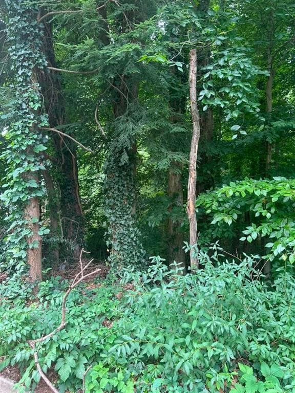 single family residence for sale at 721 Aberdeen Drive, Stone Mountain, GA 30083 — photo 10