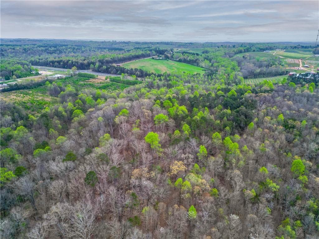unimproved land for sale at 5457 Cornelia Highway, Alto, GA 30510 — photo 5