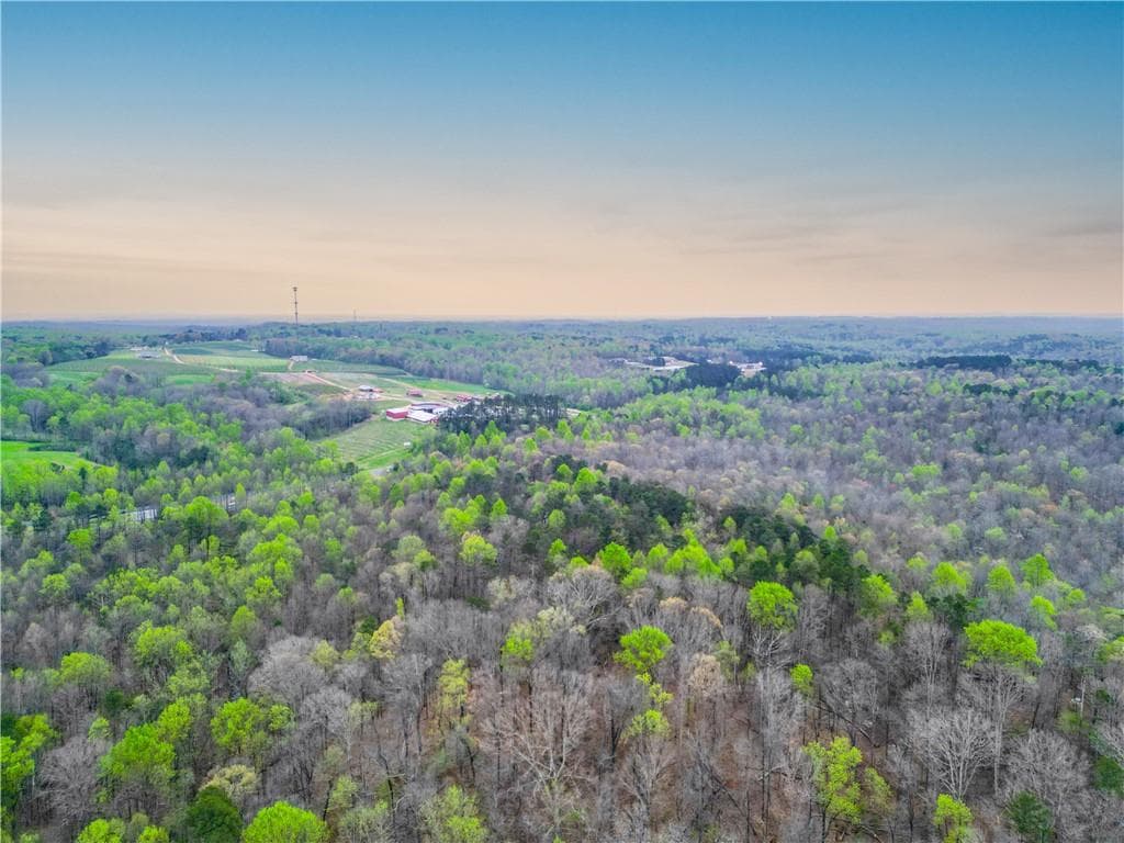 unimproved land for sale at 5457 Cornelia Highway, Alto, GA 30510 — photo 6