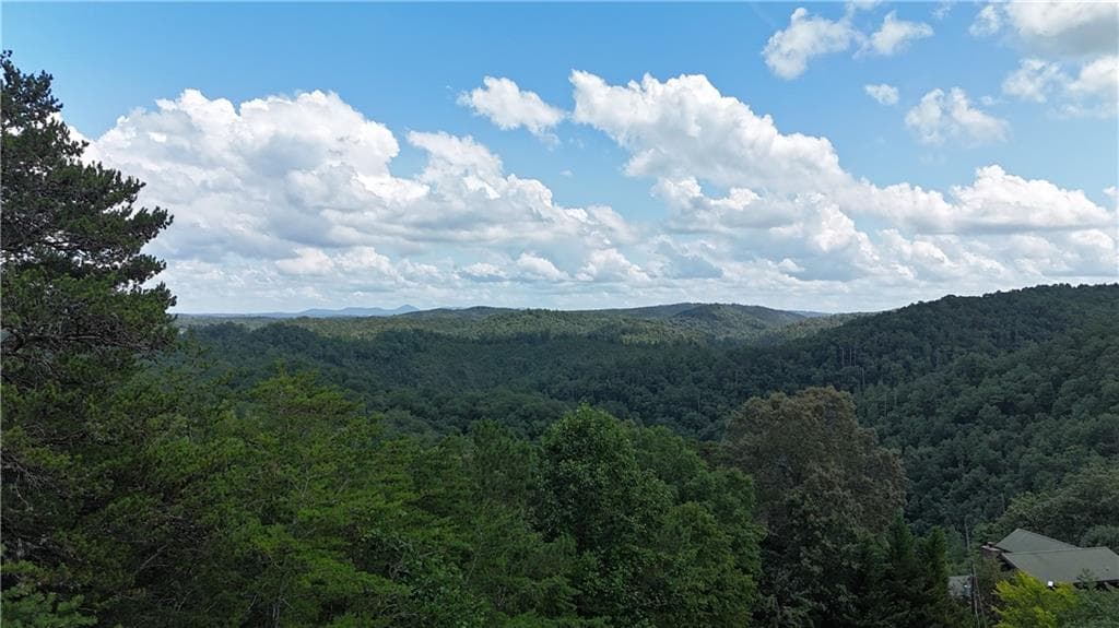 unimproved land for sale at 575 Galaxy Way, Ranger, GA 30734 — photo 4