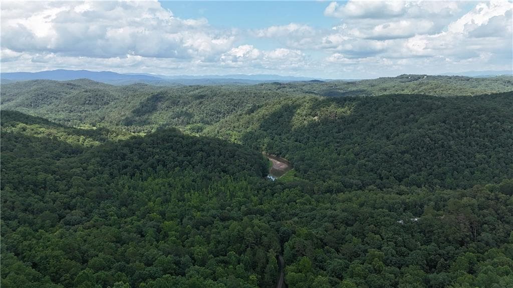 unimproved land for sale at 575 Galaxy Way, Ranger, GA 30734 — photo 5