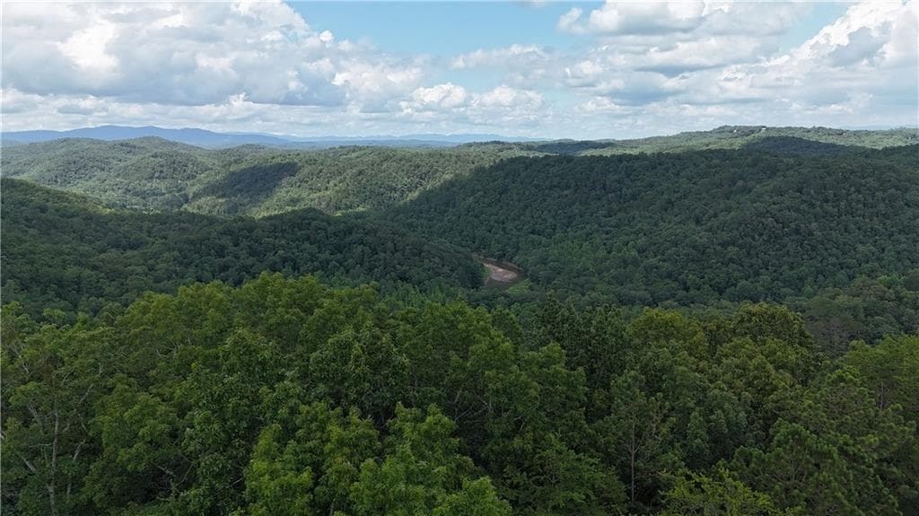 unimproved land for sale at 575 Galaxy Way, Ranger, GA 30734 — photo 6