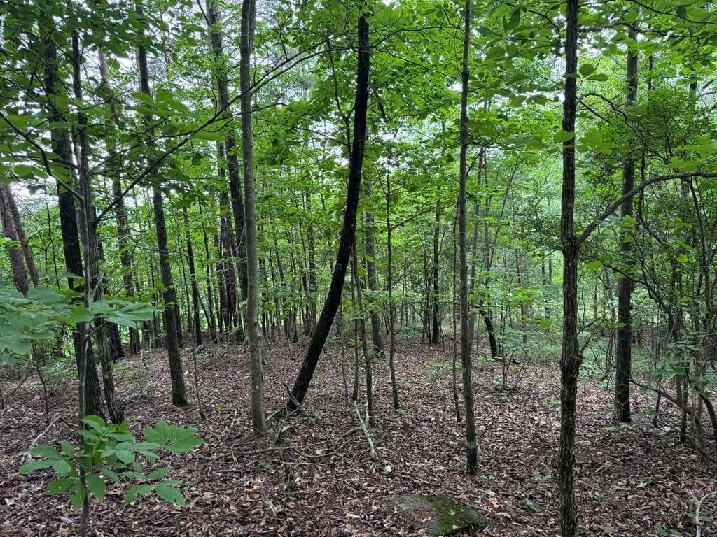 unimproved land for sale at 575 Galaxy Way, Ranger, GA 30734 — photo 7