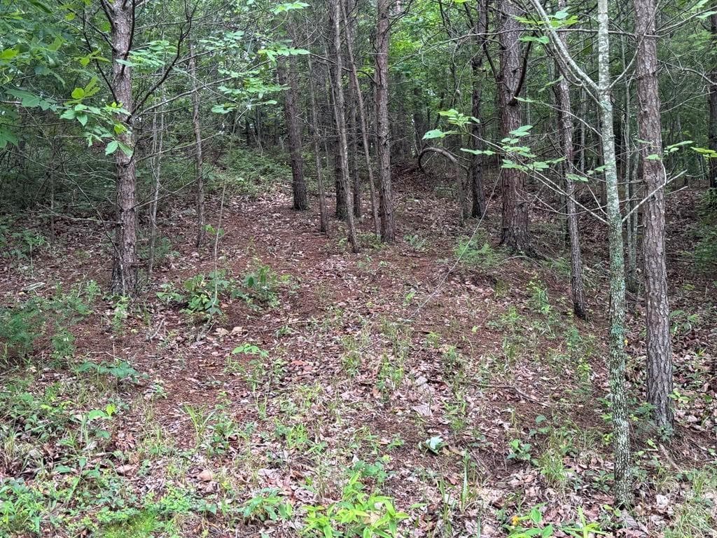 unimproved land for sale at 575 Galaxy Way, Ranger, GA 30734 — photo 8