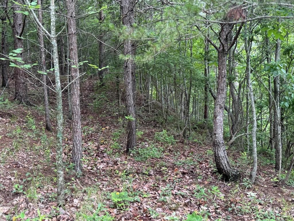 unimproved land for sale at 575 Galaxy Way, Ranger, GA 30734 — photo 9