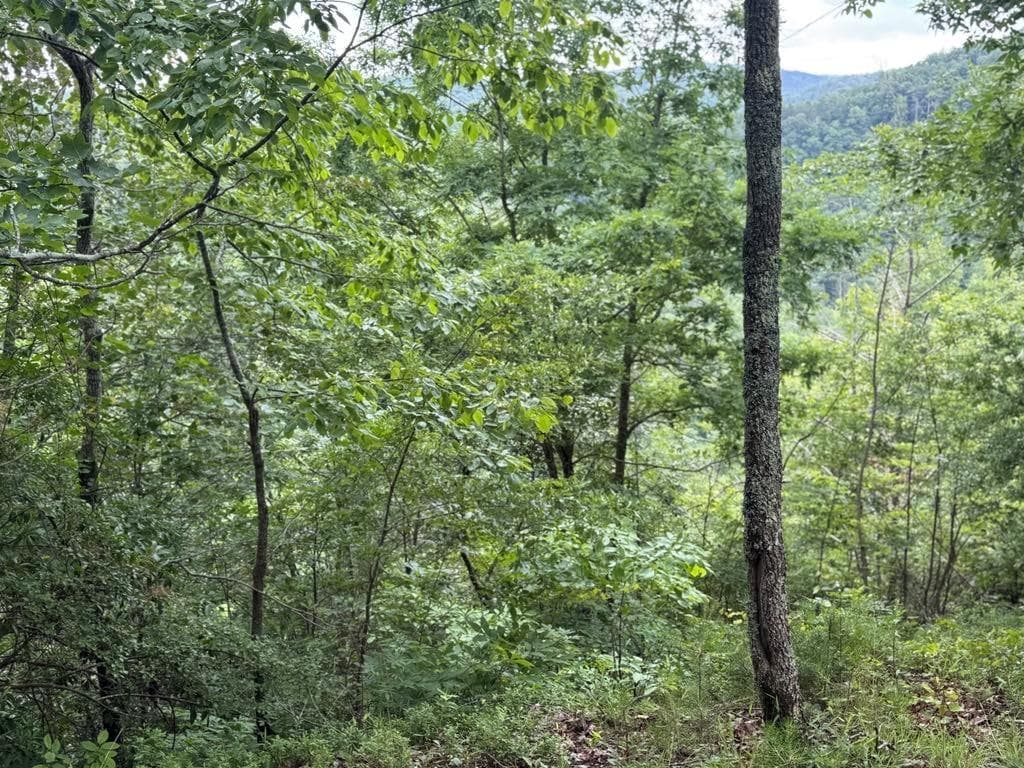 unimproved land for sale at 575 Galaxy Way, Ranger, GA 30734 — photo 10