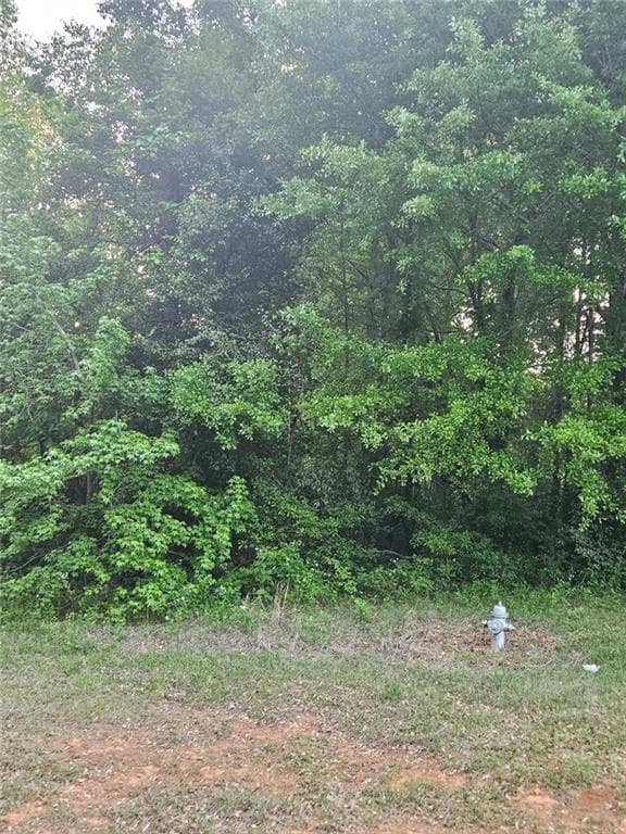 unimproved land for sale at 974 W Hemphill Road, Stockbridge, GA 30281 — photo 3