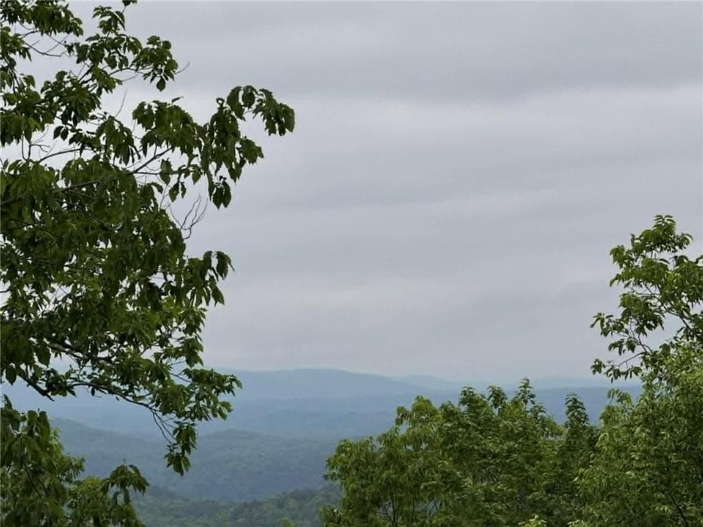 unimproved land for sale at 1181 Jewel Court, Ranger, GA 30734 — photo 1 of 20