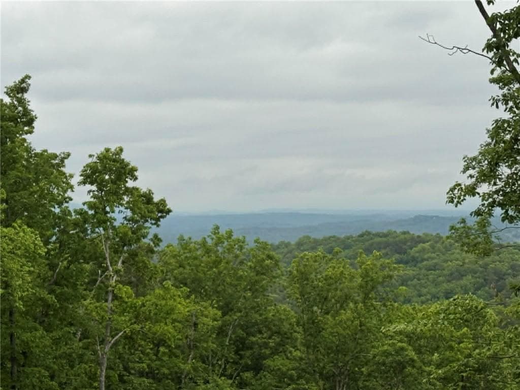 unimproved land for sale at 1181 Jewel Court, Ranger, GA 30734 — photo 2
