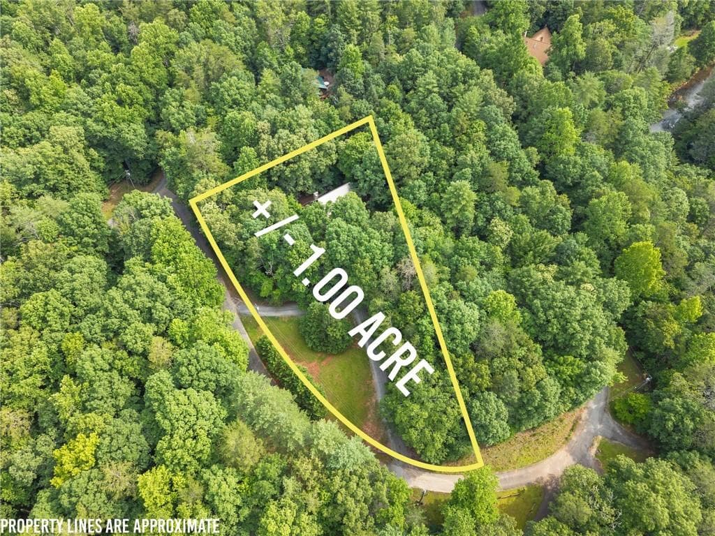 4 bedroom, 3 bathroom, 2,145 sq ft single family residence for sale at 318 Horseshoe Lane, Dahlonega, GA 30533 — photo 3