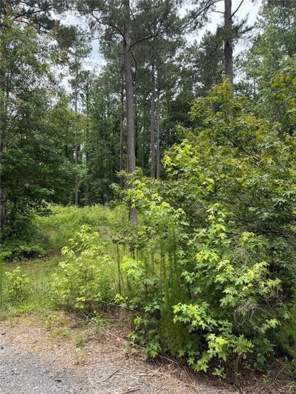 single family residence for sale at 1930 Locust Grove Road, Griffin, GA 30223 — photo 2