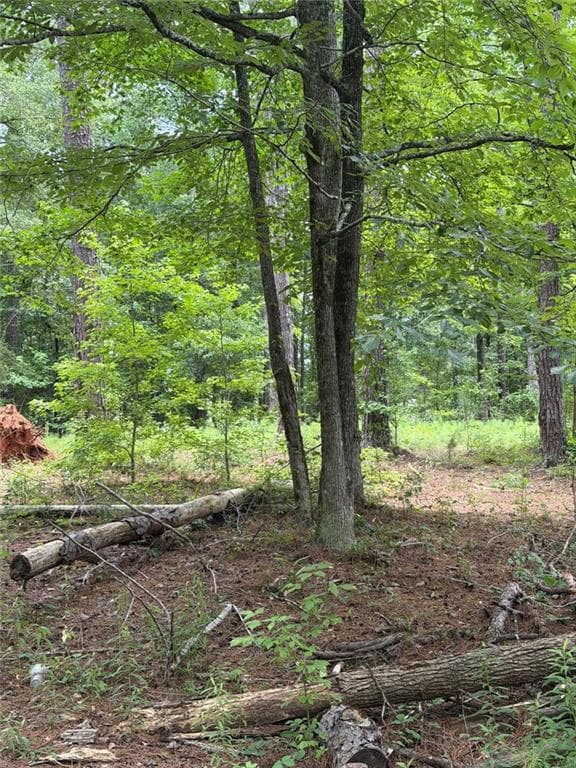 single family residence for sale at 1930 Locust Grove Road, Griffin, GA 30223 — photo 5