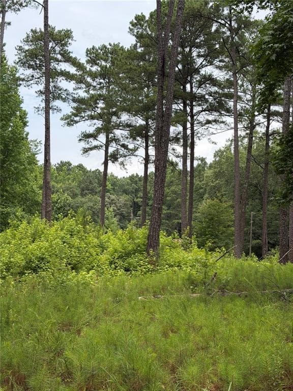 single family residence for sale at 1930 Locust Grove Road, Griffin, GA 30223 — photo 9