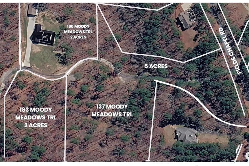 single family residence sold at 183 Moody Meadows Trail, Canton, GA 30114