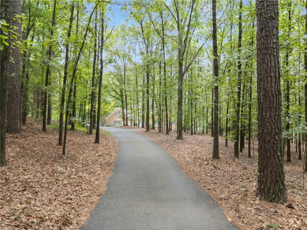 3 bedroom, 4 bathroom, 4,210 sq ft single family residence for sale at 2405 Brooks Road, Dacula, GA 30019 — photo 3