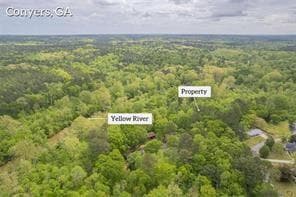 unimproved land for sale at 2939 Lake Sorrento Court, Conyers, GA 30012 — photo 6
