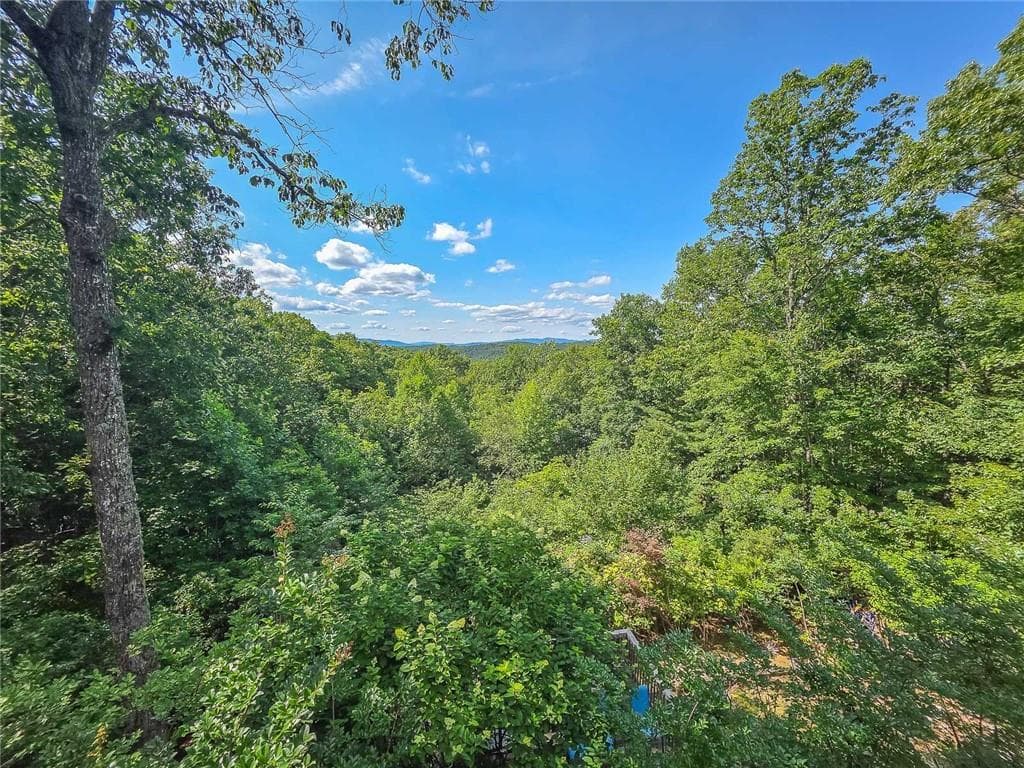 5 bedroom, 5 bathroom single family residence under contract at 120 sunrock mountain Trace, Blue Ridge, GA 30513 — photo 2