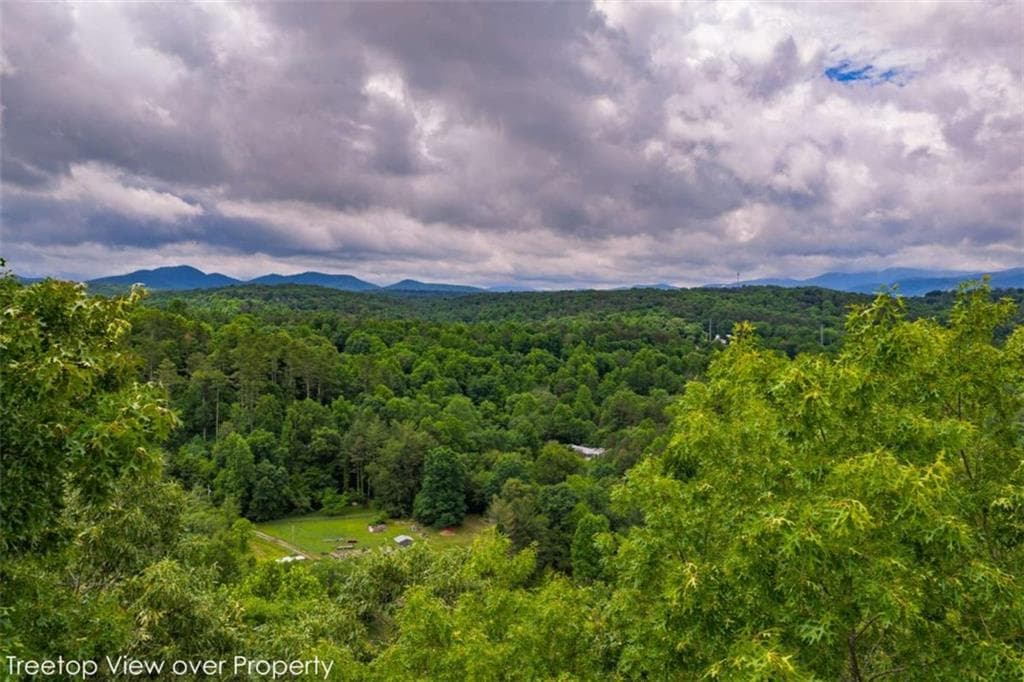 single family residence for sale at 9 Deer Haven Drive, Morganton, GA 30560