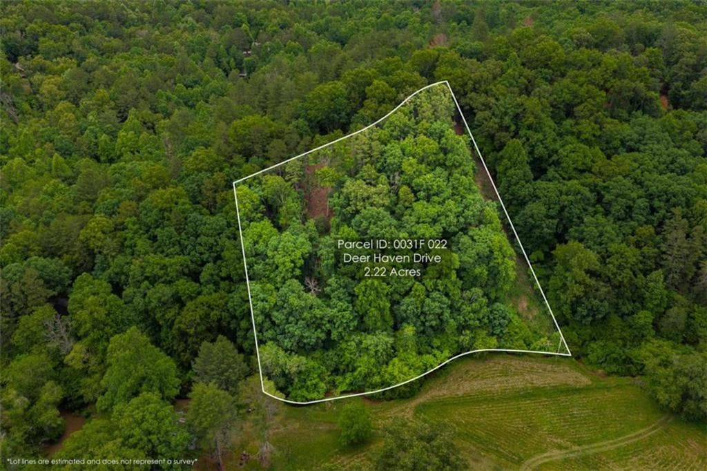single family residence for sale at 9 Deer Haven Drive, Morganton, GA 30560 — photo 2