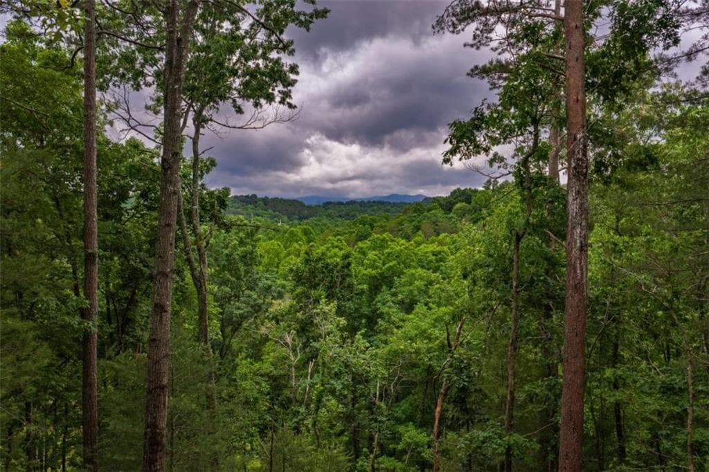 single family residence for sale at 9 Deer Haven Drive, Morganton, GA 30560 — photo 6