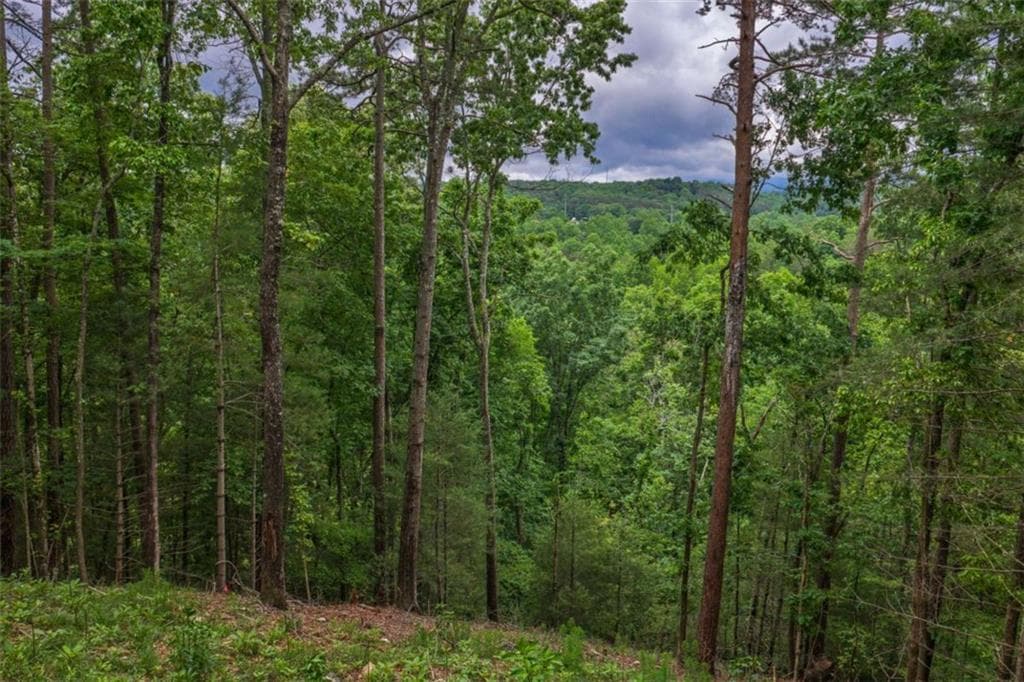 single family residence for sale at 9 Deer Haven Drive, Morganton, GA 30560 — photo 7