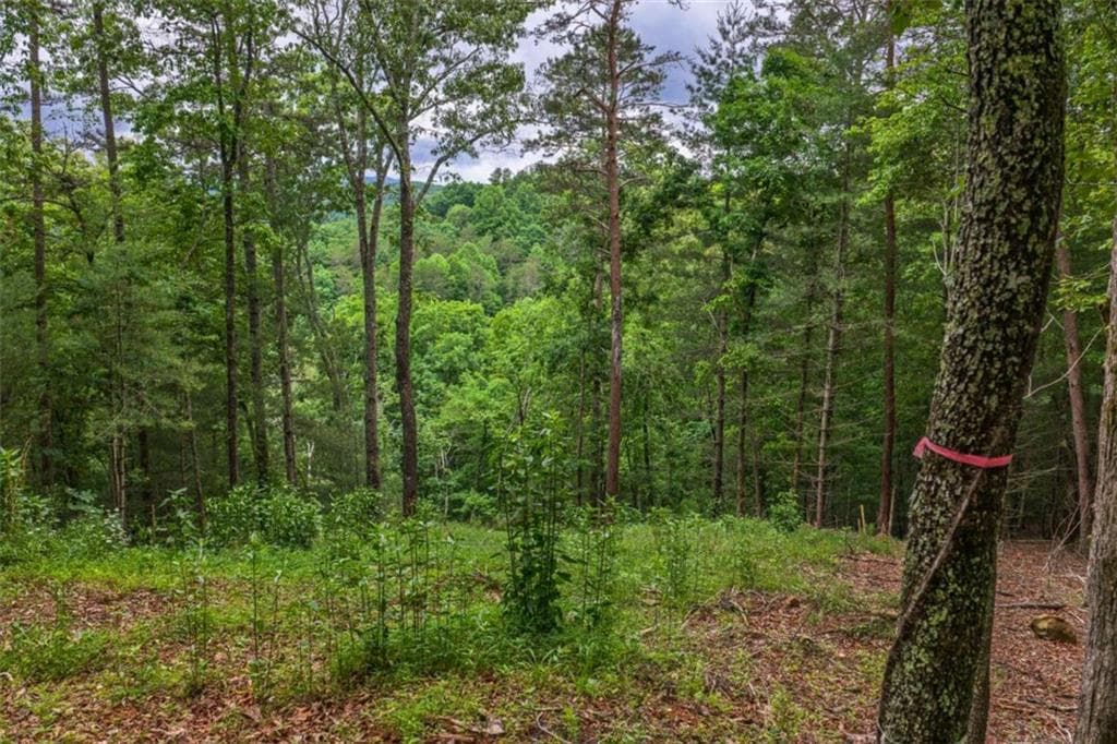 single family residence for sale at 9 Deer Haven Drive, Morganton, GA 30560 — photo 8