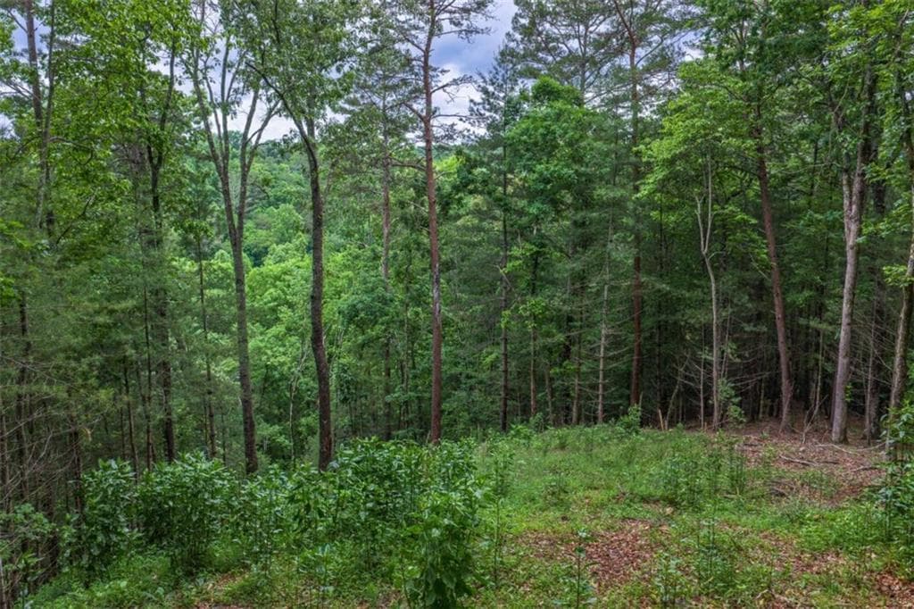 single family residence for sale at 9 Deer Haven Drive, Morganton, GA 30560 — photo 9