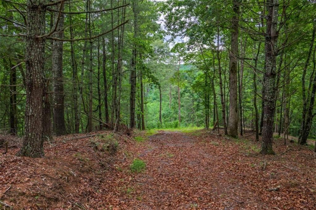 single family residence for sale at 9 Deer Haven Drive, Morganton, GA 30560 — photo 10