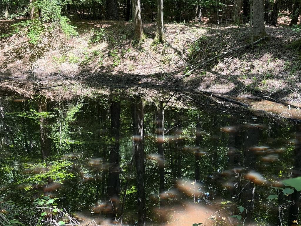 unimproved land for sale at 00 Poplar Springs Road, Dallas, GA 30157 — photo 2