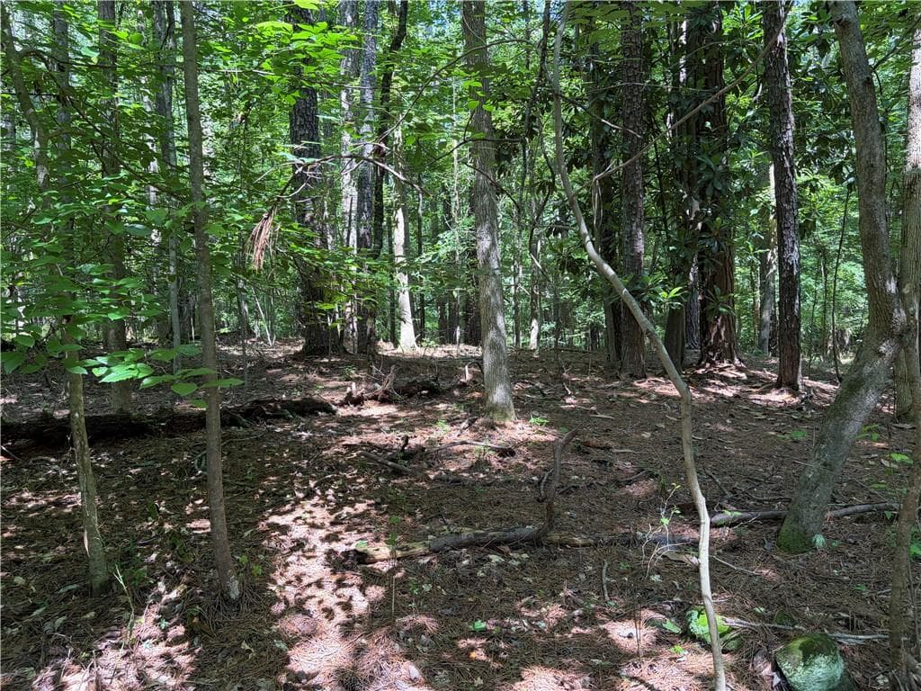 unimproved land for sale at 00 Poplar Springs Road, Dallas, GA 30157 — photo 7