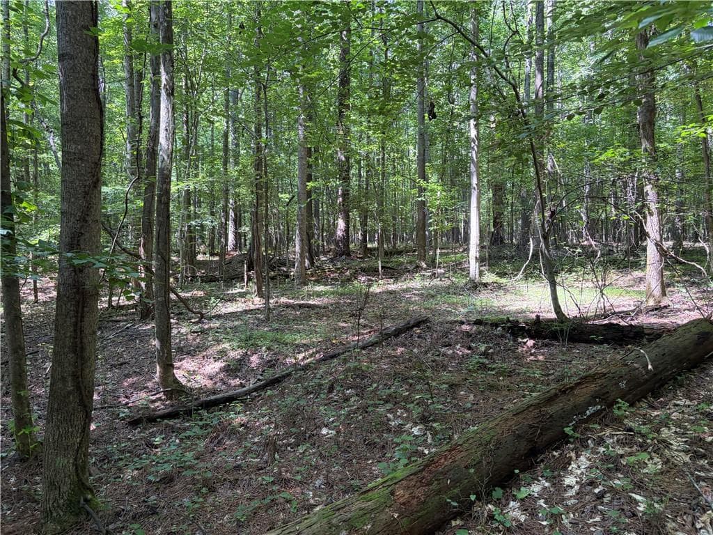 unimproved land for sale at 00 Poplar Springs Road, Dallas, GA 30157 — photo 8