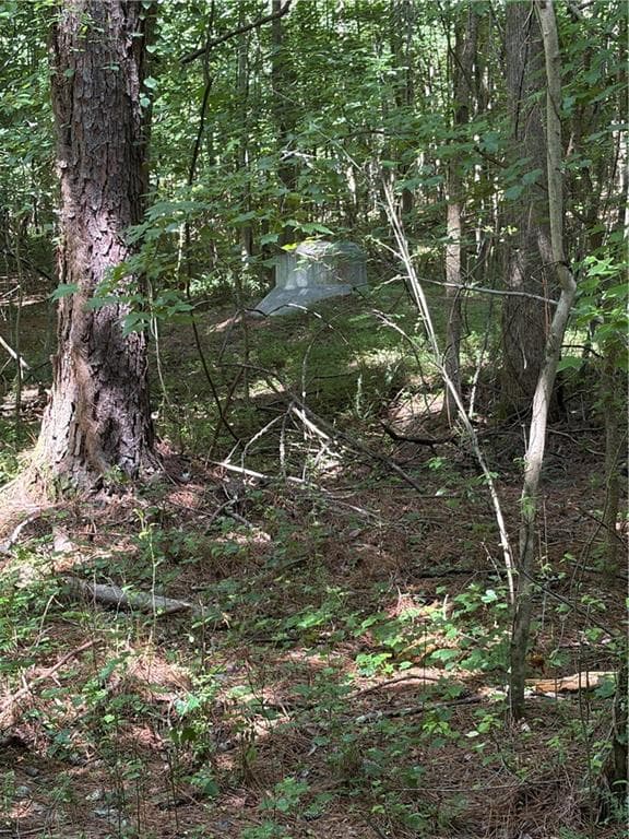 unimproved land for sale at 00 Poplar Springs Road, Dallas, GA 30157 — photo 9