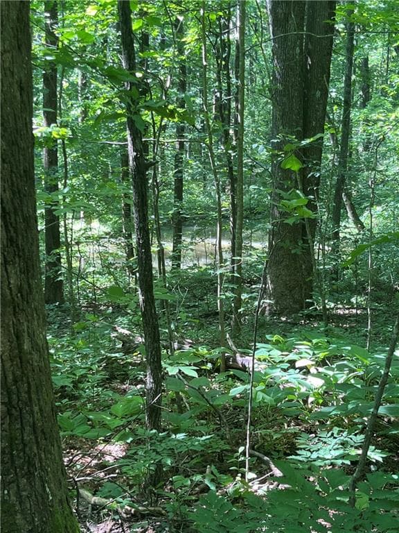 other for sale at 0 Monument Road, Jasper, GA 30143 — photo 1 of 9