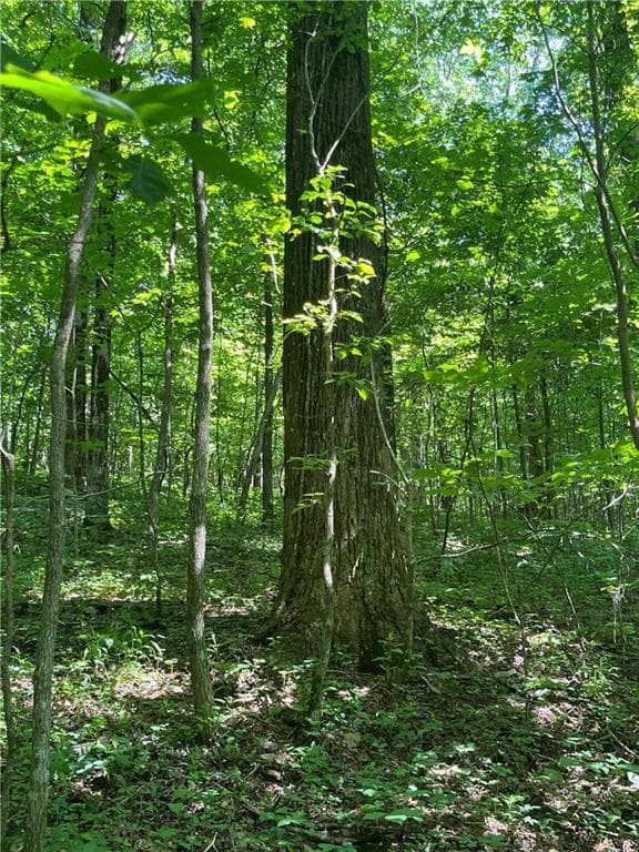 other for sale at 0 Monument Road, Jasper, GA 30143 — photo 2