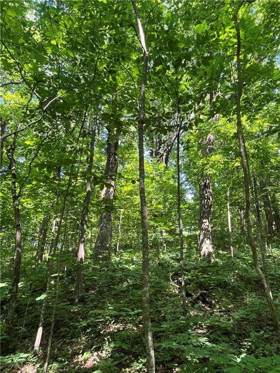 other for sale at 0 Monument Road, Jasper, GA 30143 — photo 3