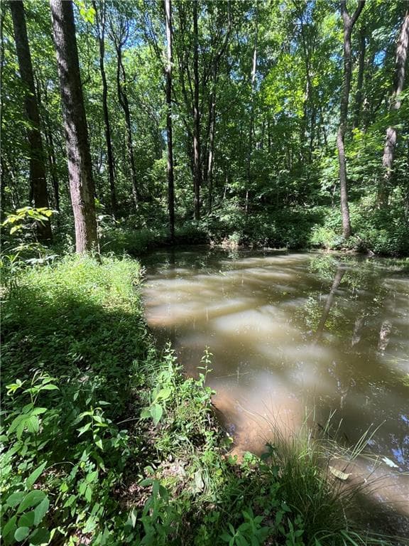 other for sale at 0 Monument Road, Jasper, GA 30143 — photo 4