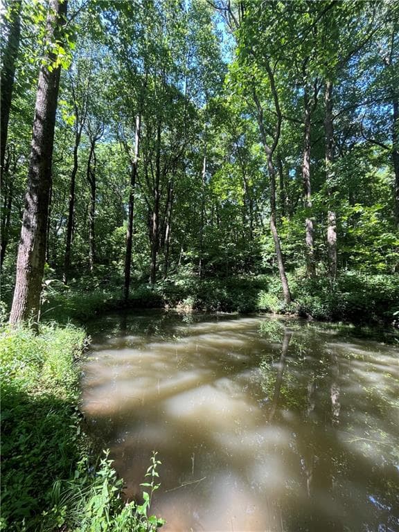other for sale at 0 Monument Road, Jasper, GA 30143 — photo 5