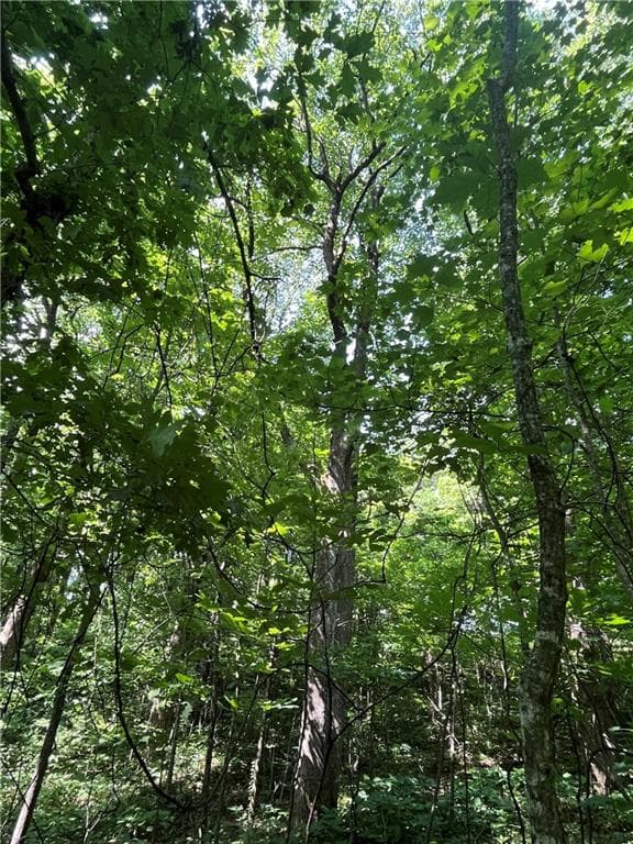other for sale at 0 Monument Road, Jasper, GA 30143 — photo 8