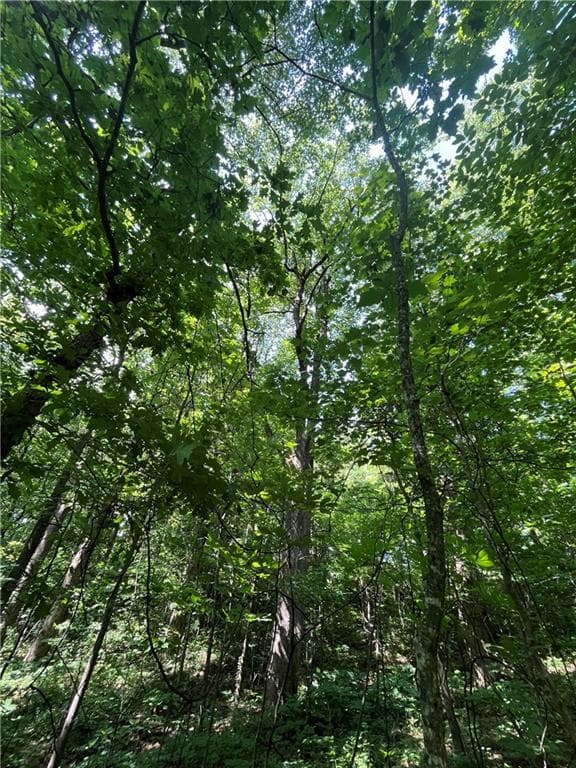other for sale at 0 Monument Road, Jasper, GA 30143 — photo 9