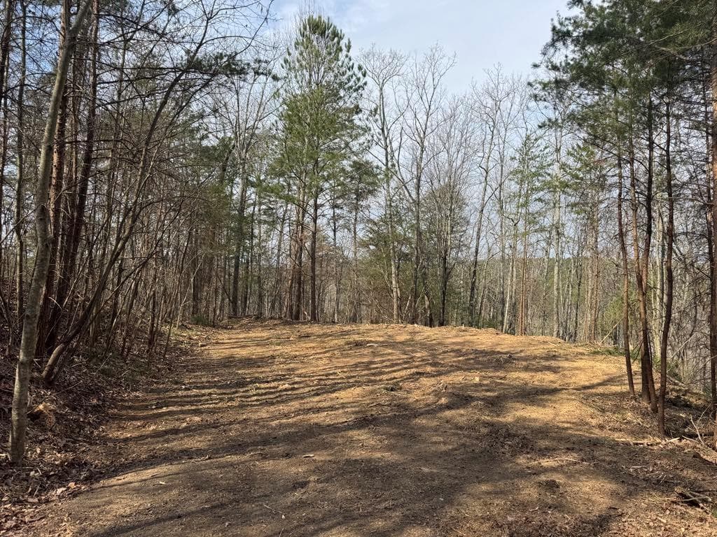 single family residence for sale at 1450 Hanna Drive, Ranger, GA 30734 — photo 6