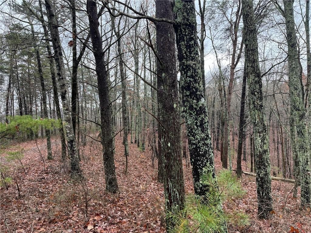 single family residence for sale at 1450 Hanna Drive, Ranger, GA 30734 — photo 9