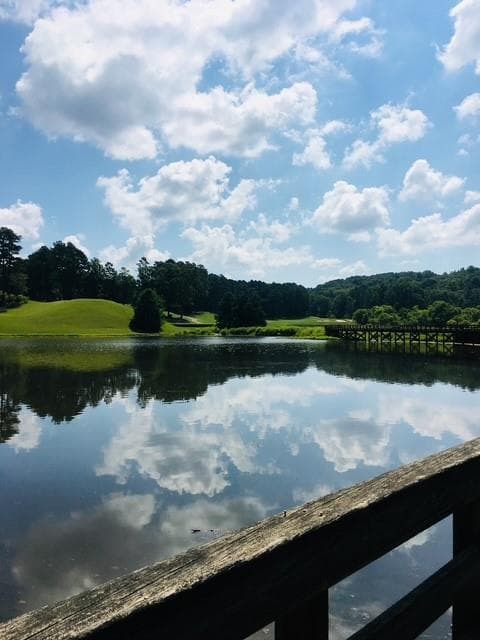 6 bedroom, 8 bathroom, 8,787 sq ft single family residence for sale at 1000 Overlook Terrace, Ball Ground, GA 30107 — photo 8