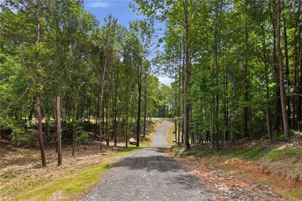 unimproved land for sale at Lot 3 Pete Path, Dallas, GA 30157 — photo 2