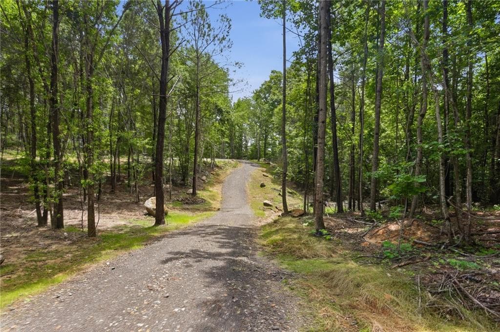 unimproved land for sale at Lot 3 Pete Path, Dallas, GA 30157 — photo 3