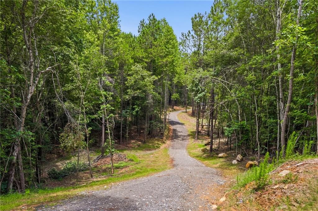 unimproved land for sale at Lot 3 Pete Path, Dallas, GA 30157 — photo 7