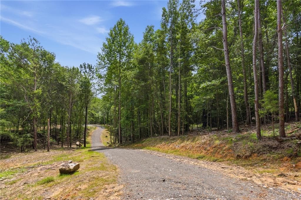 unimproved land for sale at Lot 3 Pete Path, Dallas, GA 30157 — photo 10