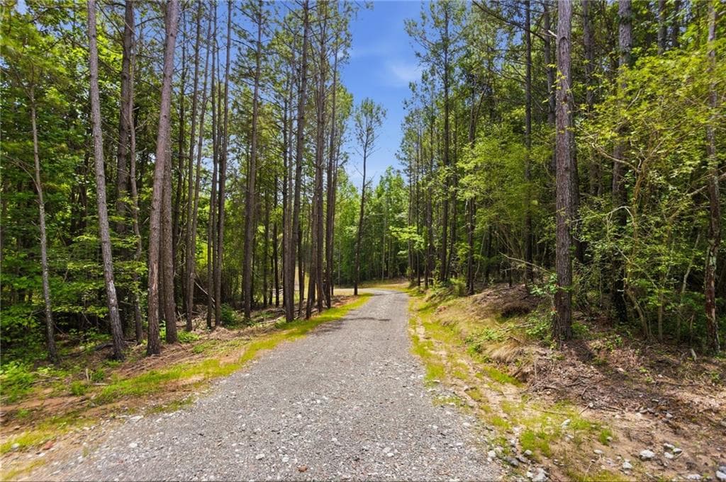 unimproved land for sale at Lot 2 Pete Path, Dallas, GA 30157 — photo 2