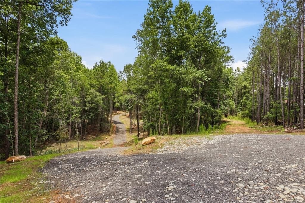 unimproved land for sale at Lot 2 Pete Path, Dallas, GA 30157 — photo 5