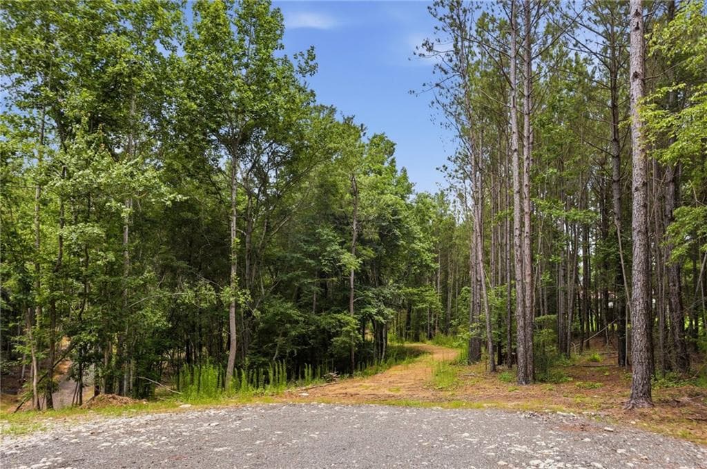 unimproved land for sale at Lot 2 Pete Path, Dallas, GA 30157 — photo 6