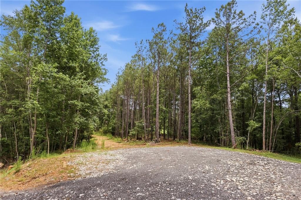 unimproved land for sale at Lot 2 Pete Path, Dallas, GA 30157 — photo 7